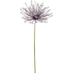 Options – 49" Lavender