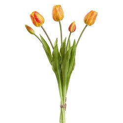 Options – Orange/Yellow
