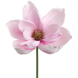 Soft Pink