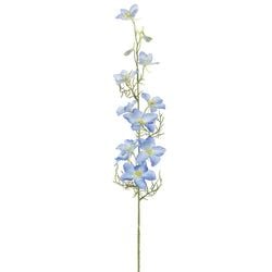Delphinium Blue
