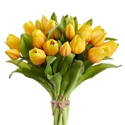 Options – Yellow