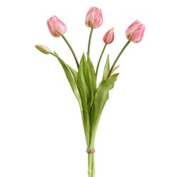 Options – Pink