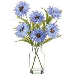 Blue/Delphinium