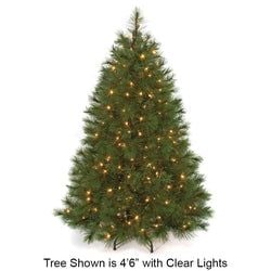 4'6" Lighted