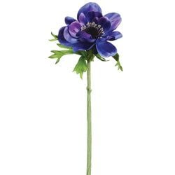 Options – Blue