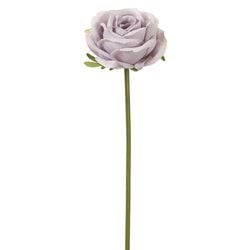 Options – Lavender