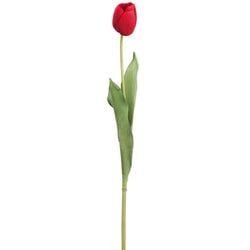 Options – Red