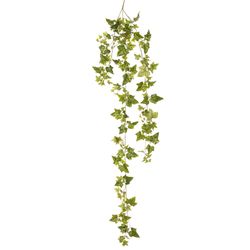 Variegated