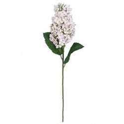Light Pink/White