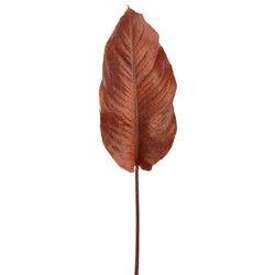 Options – Brown/Gold
