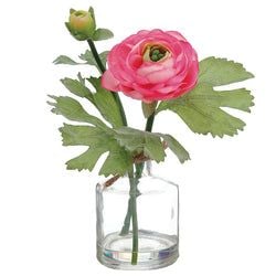 Cerise