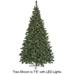 9' LED Lights