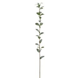 Options – 47" Green/Gray 12pk