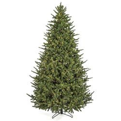 Options – 10' LED