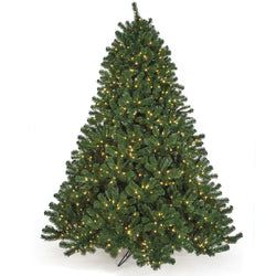 9' LED Lights