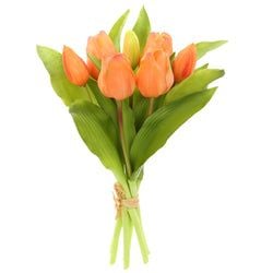 Options – Orange