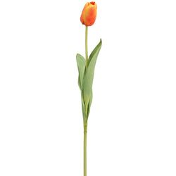 Options – Orange