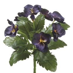 Eggplant
