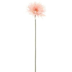 Options – Light Pink
