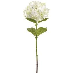 White/Green