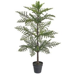 3'