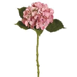 Antique Pink