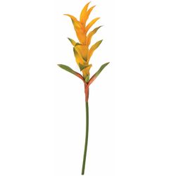 Yellow/Orange