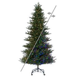 10' LED Multi-Mode