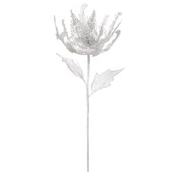 Options – White/Silver