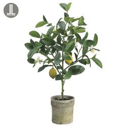 4 plants