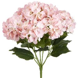 Soft Pink