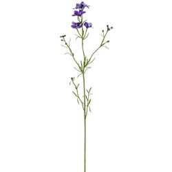 Purple/Blue