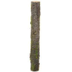 24"