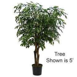 6'