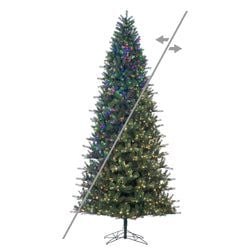 10' LED Multi-Mode