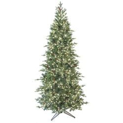 Options – 7'6" LED
