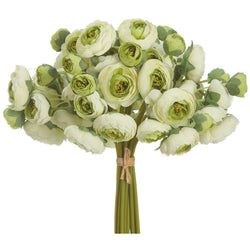 Cream/Green