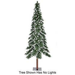 7' LED Lights