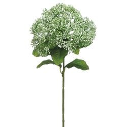 Options – Light Green