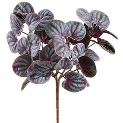 Purple/Green