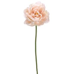 Soft Pink