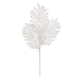 Options – White