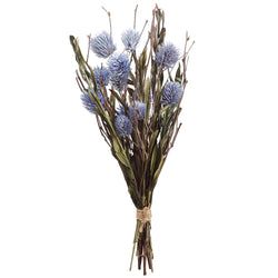 Blue/Lavender