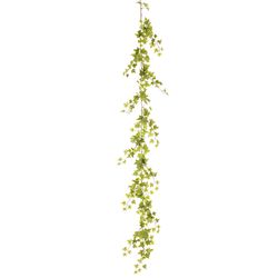Variegated