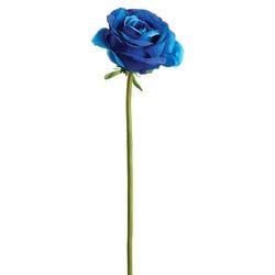 Options – Blue