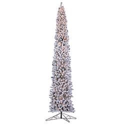 10' Lighted