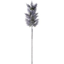 Options – Blue