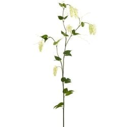 Options – Cream/Green