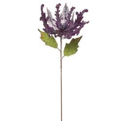 Options – Purple