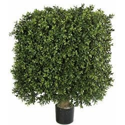 25"